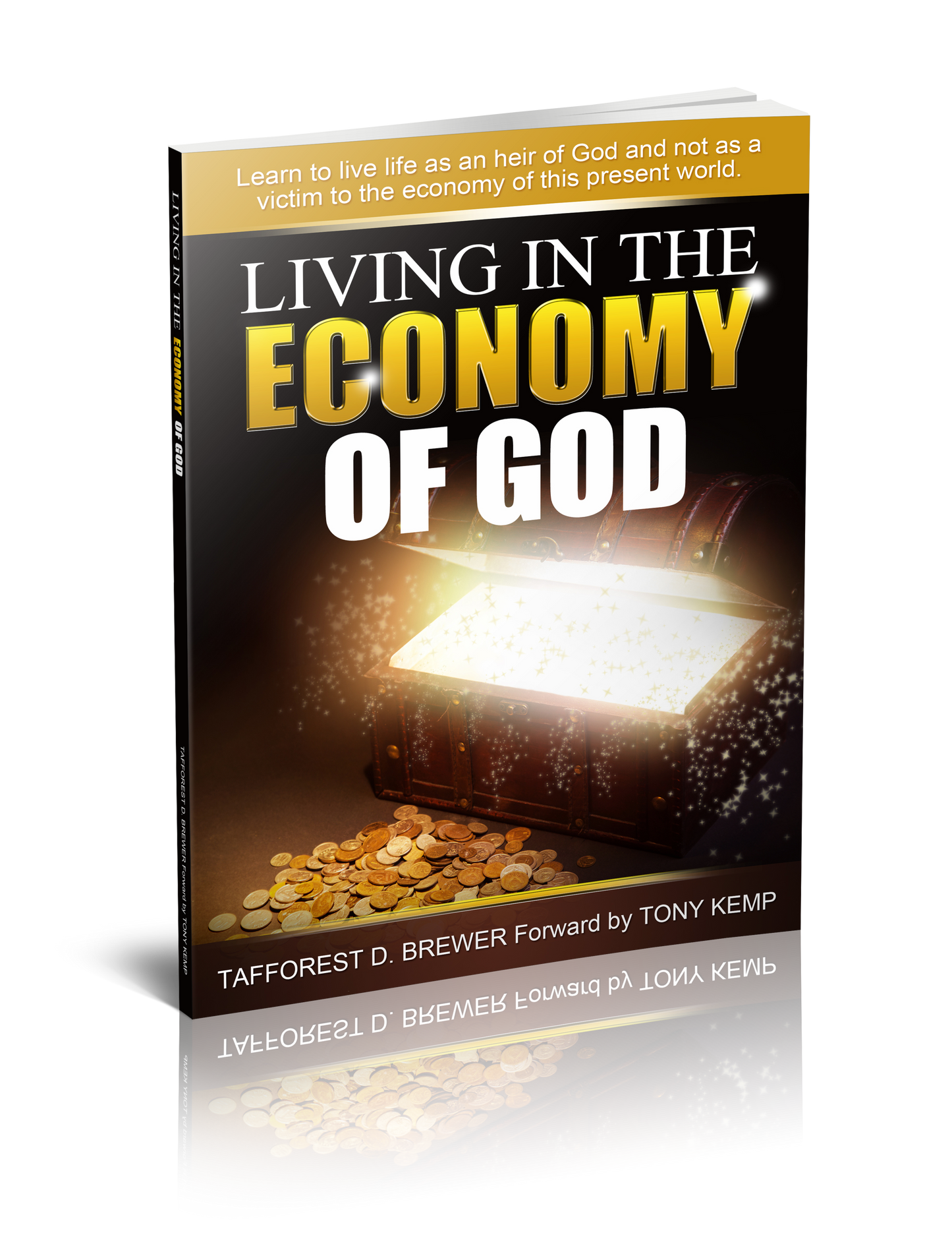 Living In The Economy of God